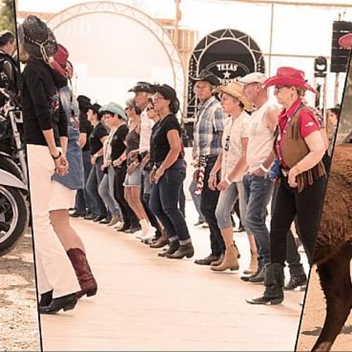 Festival Thomas Ranch 1
