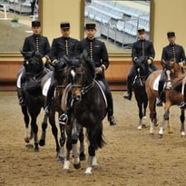 École Nationale d'équitation Cadre Noir de Saumur