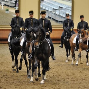 École Nationale d'équitation Cadre Noir de Saumur