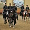 École Nationale d'équitation Cadre Noir de Saumur