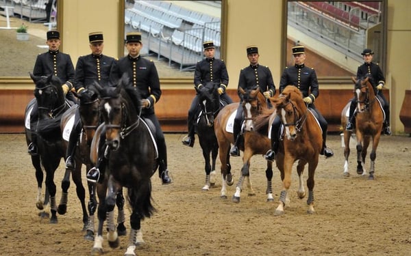 École Nationale d'équitation Cadre Noir de Saumur