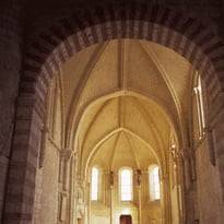 Collégiale Saint-Martin - Angers