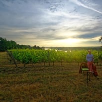 Festival Musique dans les Vignes