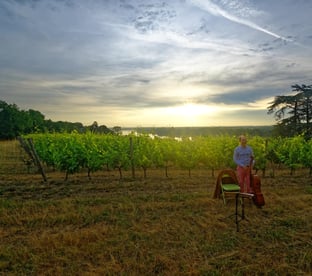 Festival Musique dans les Vignes