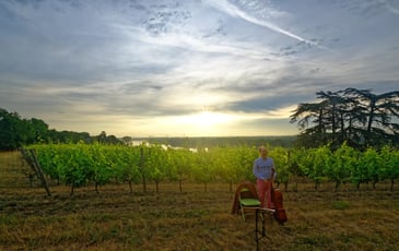 Festival Musique dans les Vignes