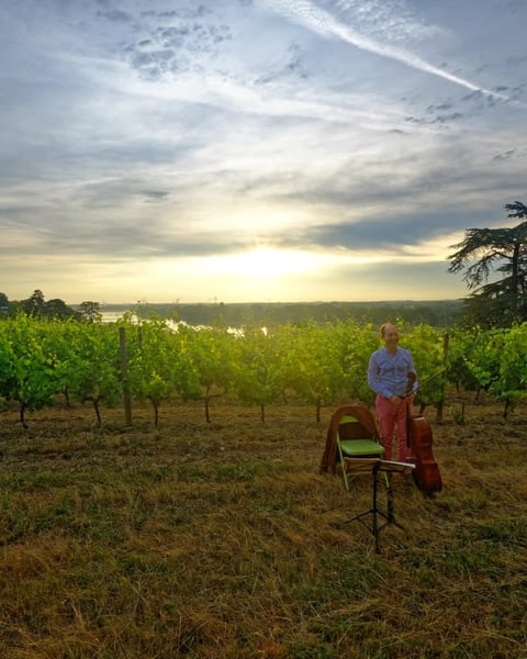 Festival Musique dans les Vignes