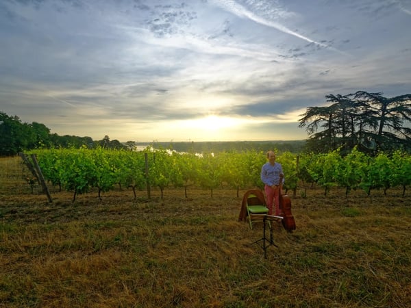 Festival Musique dans les Vignes