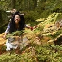 À travers les arbres, la lumière passe encore