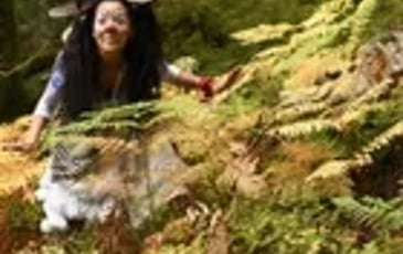 À travers les arbres, la lumière passe encore