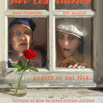 Une fleur sur les ruines