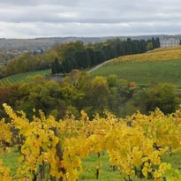 Coulée de Serrant