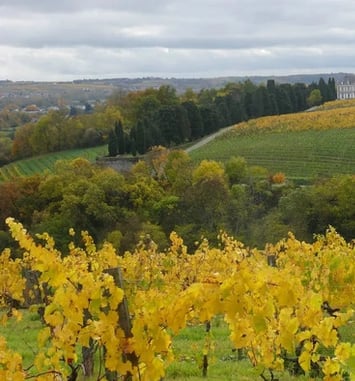 Coulée de Serrant