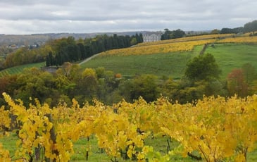 Coulée de Serrant