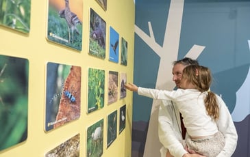 Visite libre de Loire Odyssée