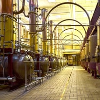 Visite du Carré Cointreau