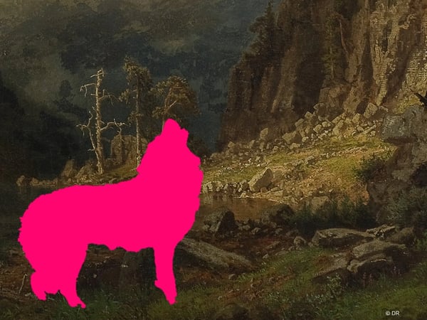 L'Appel de la Forêt