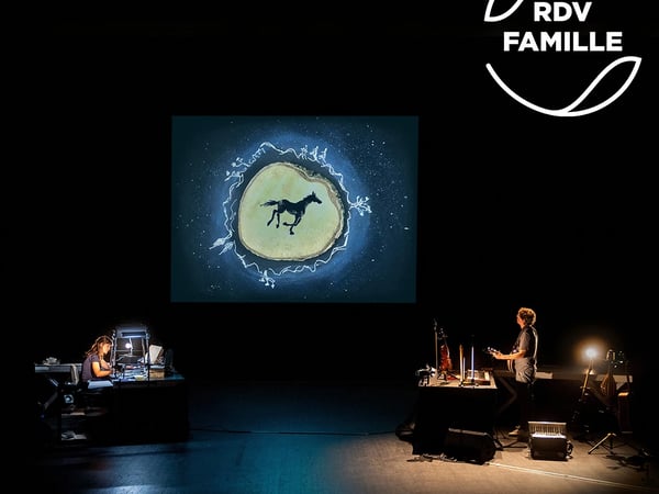 Versant Vivant : Concert Dessiné et Animé