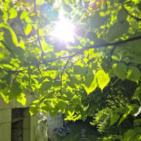 Le jardin de Franck à la Trésorerie