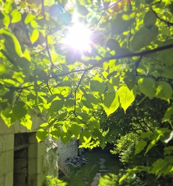 Le jardin de Franck à la Trésorerie