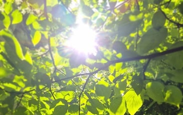 Le jardin de Franck à la Trésorerie
