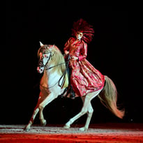 Etoiles Equestres 2026