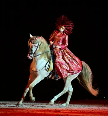 Etoiles Equestres 2026