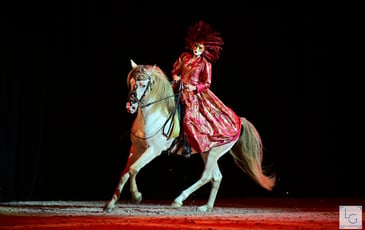 Etoiles Equestres 2026