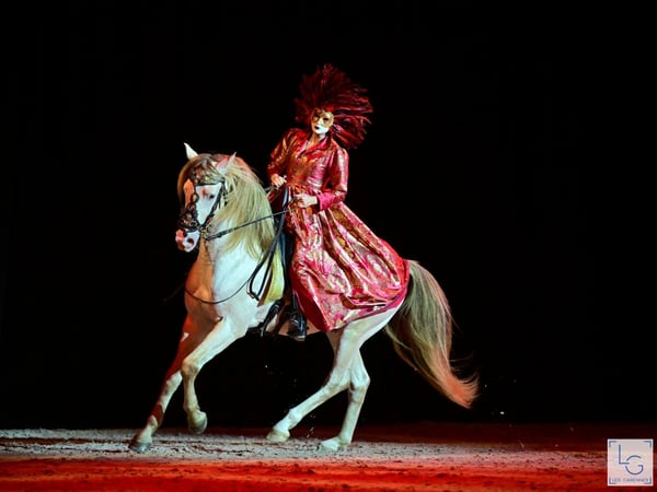 Etoiles Equestres 2026