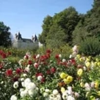 L'unisson des générations