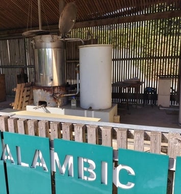 Démonstration du fonctionnement de l'alambic