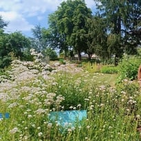 Visite libre au Jardin Camifolia