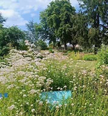 Visite libre au Jardin Camifolia