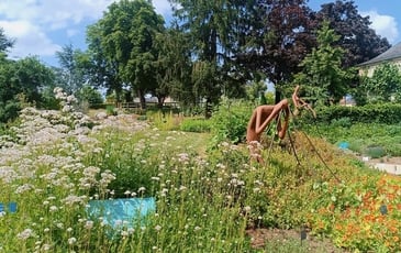 Visite libre au Jardin Camifolia