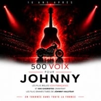 500 Voix pour Johnny, dix ans après, tournée