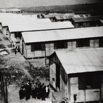 Visite commentée des vestiges du camp d'internement de nomades de Montreuil-Bellay