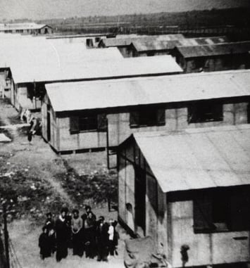 Visite commentée des vestiges du camp d'internement de nomades de Montreuil-Bellay