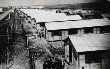 Visite commentée des vestiges du camp d'internement de nomades de Montreuil-Bellay