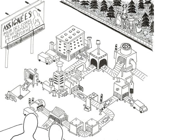 Assigner, la fabrique des corps