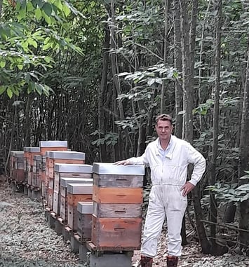 Des abeilles sur Sèvremoine