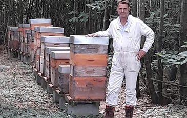 Des abeilles sur Sèvremoine