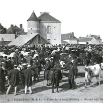 Exposition « Les foires et marchés d'Ingrandes, 800 ans d'histoire (1250 – 1950) »