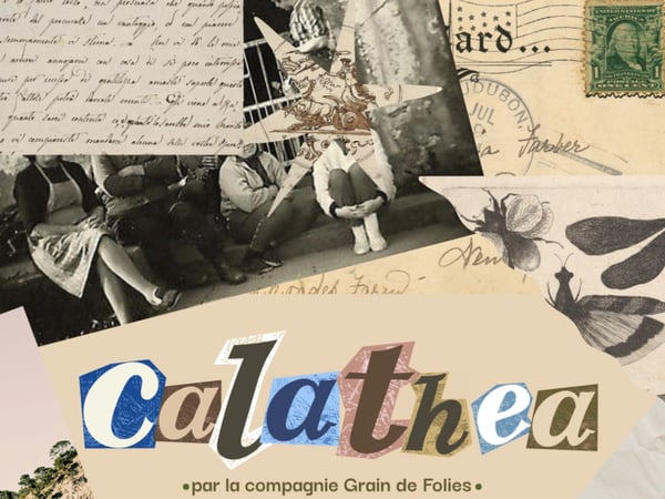 Calathéa