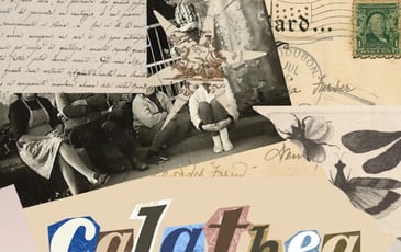 Calathéa