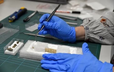 Visite du pôle Archéologie et du Centre de conservation et d'étude