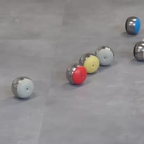 Découverte et participation au jeu de la boule de fort