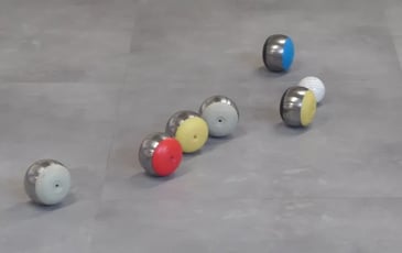 Découverte et participation au jeu de la boule de fort