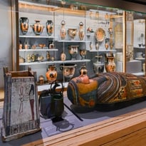 Visite libre des collections et de l'exposition