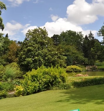 Angers Loire Greeters, Balade dans les jardins autour de la mairie