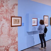 Visite flash de l'exposition Collectionner au 18ème siècle. Angers invite les dessins du Louvre