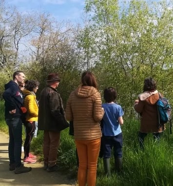 Plantes sauvages des rives